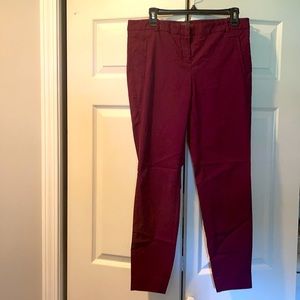 The Limited Dress Pant